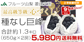 心づくし巨峰