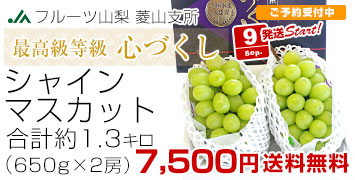 心づくしシャイン