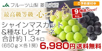 心づくしシャインピオーネ