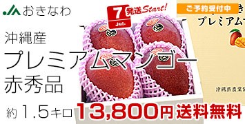 v~A}S[1.5kg