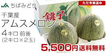 AX4kg