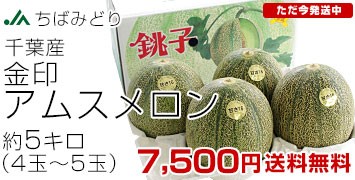 AX5kg
