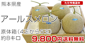 アールス原体箱