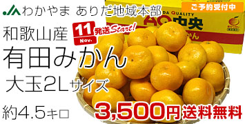 有田みかん大玉2Lサイズ