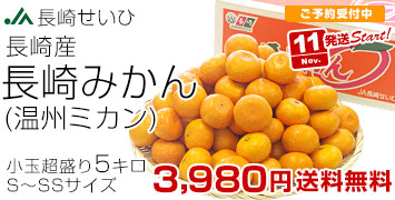 長崎みかん小玉