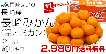 長崎みかん2L