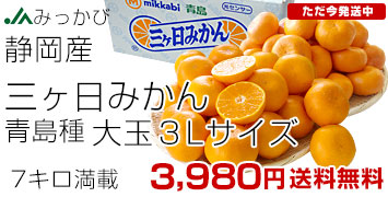 �O�����݂���3L7kg