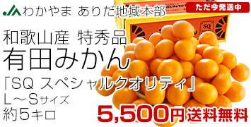 有田みかん特秀SQ5キロ