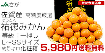 祐徳みかん5キロ