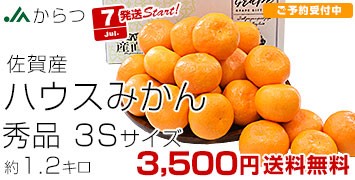  nEX݂1.2kg