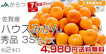  nEX݂2kg