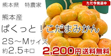 特農家の熊本みかん2.5kg