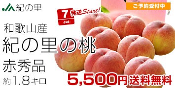 I̗̓ԏG1.8kg