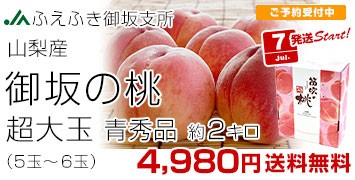̓ Gi 2L