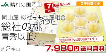 ׂ鑍Ђ̓2L