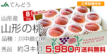 山形の桃 川中島白桃3kg