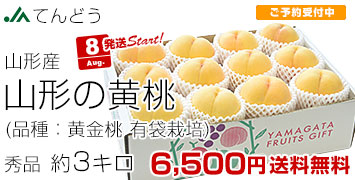 てんどう黄金桃 有袋3kg