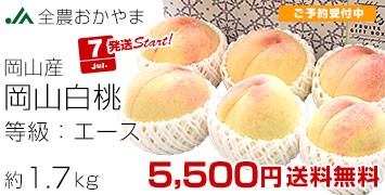 R̂G[X1.7kg
