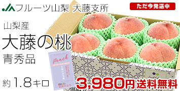 大藤の桃青秀1.8kg