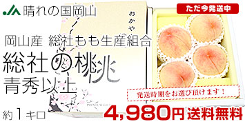 時期えらべる総社の桃1キロ