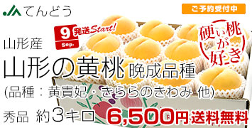 てんどう黄桃晩成品種3kg