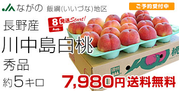 飯綱の白桃桃