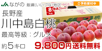 飯綱の桃　グルメ