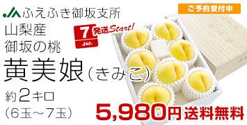 2L