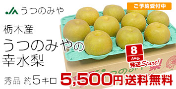 うつのみや幸水5kg