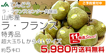 ラフランス5Lから4L