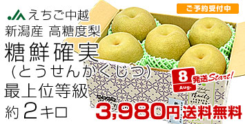 新潟糖鮮確実梨2kg