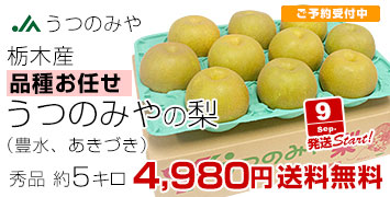 うつのみや豊水あきづき5kg