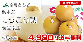 栃木にっこり梨5キロ