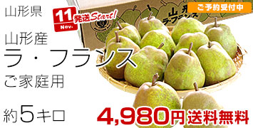 山形ラフランスご家庭用5キロ