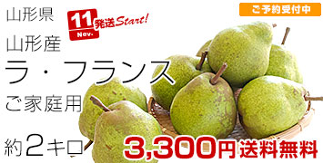 山形ラフランスご家庭用2キロ
