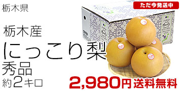 栃木にっこり梨2キロ