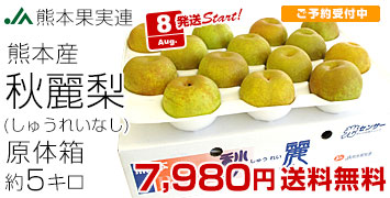 秋麗梨5キロ