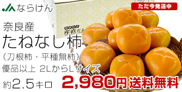 奈良たねなし柿 優品2.5kg