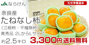 奈良たねなし柿 青秀品2.5kg