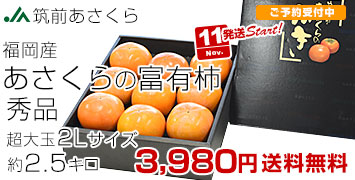 あさくら富有柿化粧箱2.5キロ