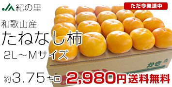 たねなし柿3.75キロ