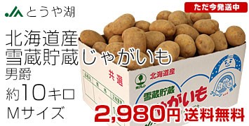 �ᑠ���Ⴊ����M10�L��