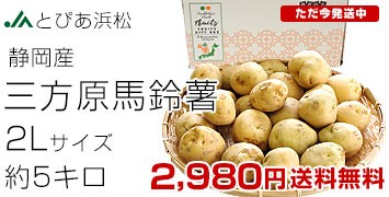 On鏒 2L 5L