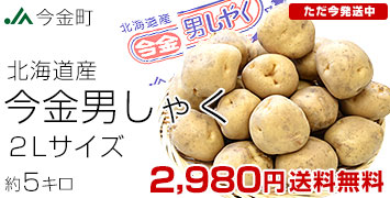 今金男爵 2Lサイズ5キロ