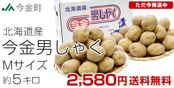 今金男爵 Mサイズ 5キロ