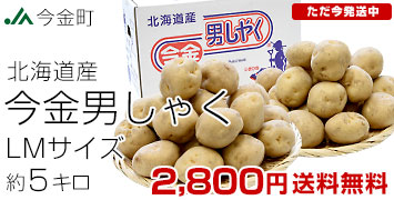 今金男爵 LMサイズ5キロ
