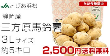 On鏒3LTCY 5L