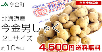 2Lサイズ10キロ