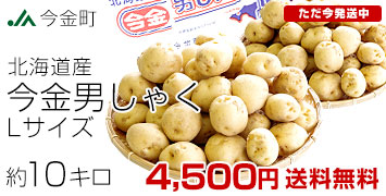 Lサイズ10キロ