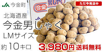 LMサイズ10キロ